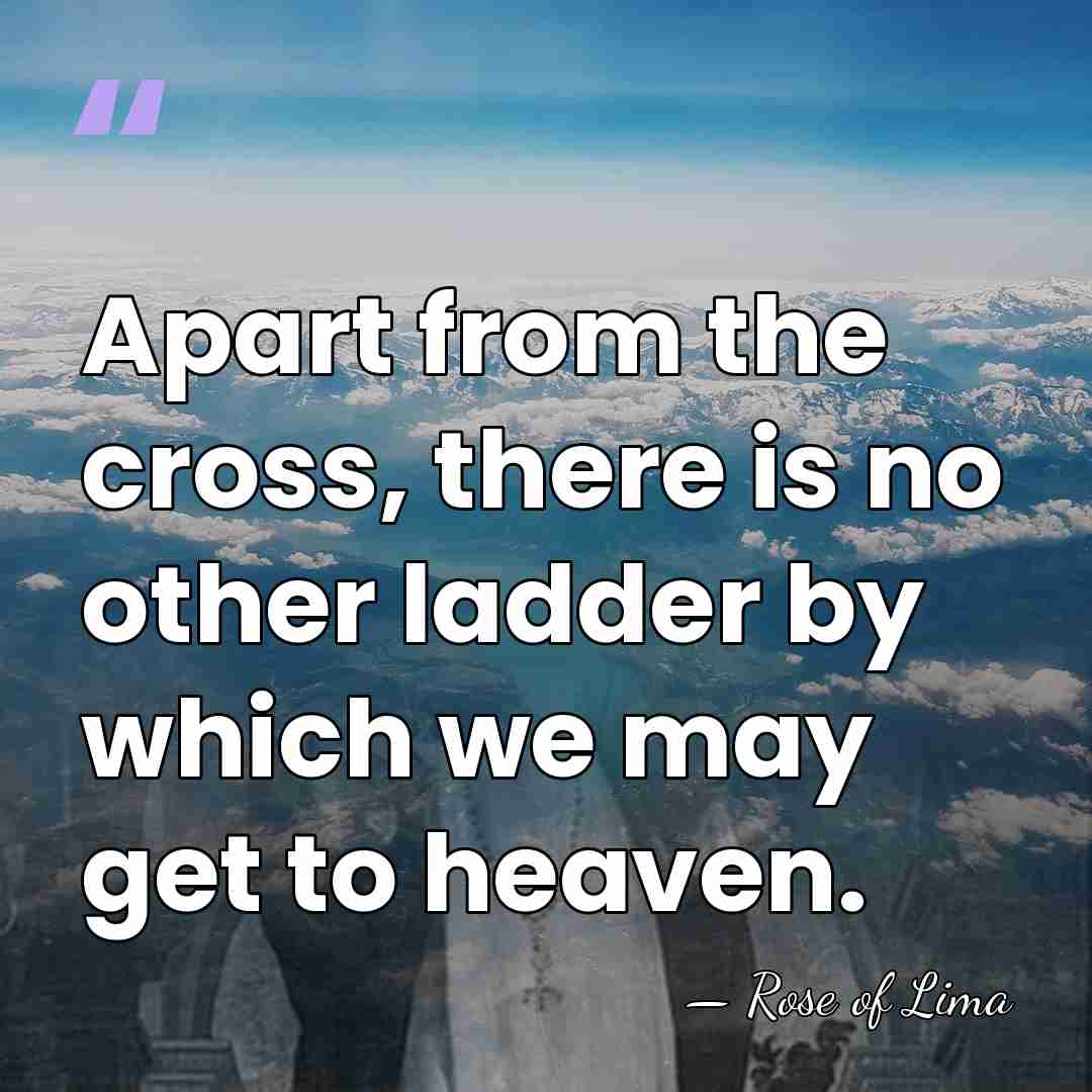Apart from the cross, there is no other ladder by which we&hellip; - Rose of Lima