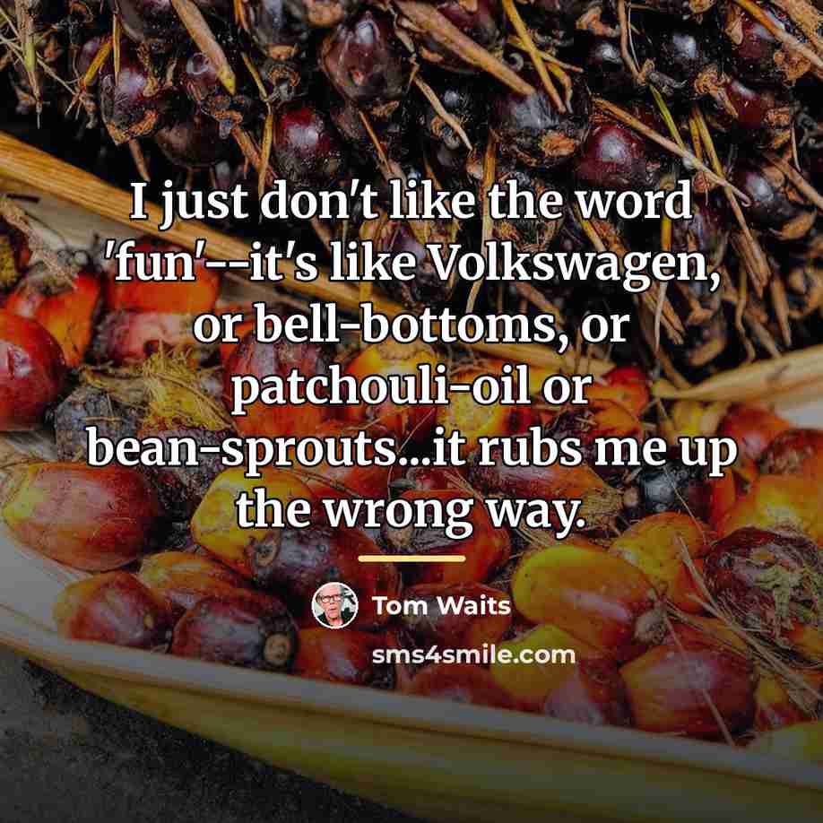 “I just don't like the word 'fun'--it's like Volkswagen, or…” quote by Tom Waits