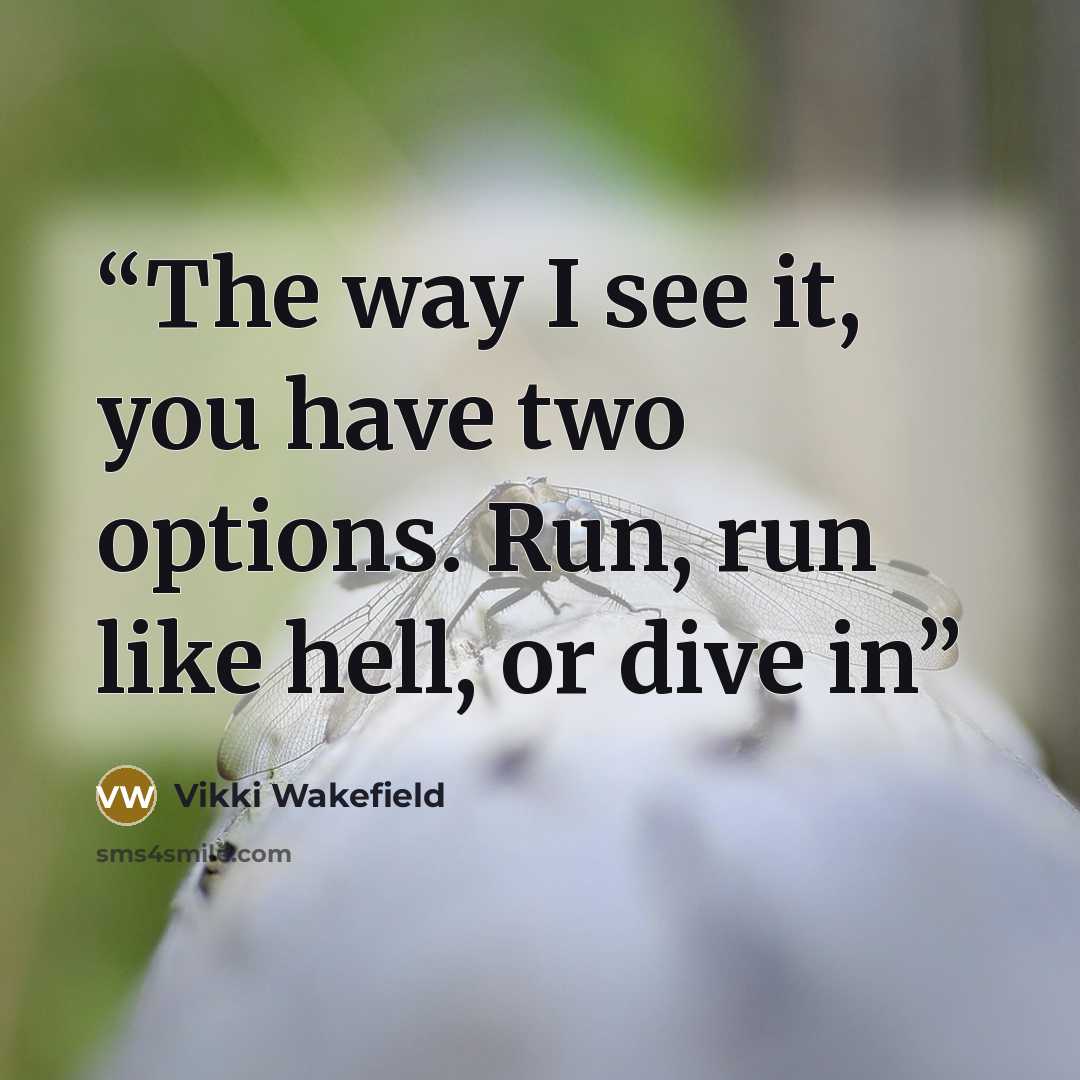 “The way I see it, you have two options. Run, run like hell, or dive in” quote by Vikki Wakefield