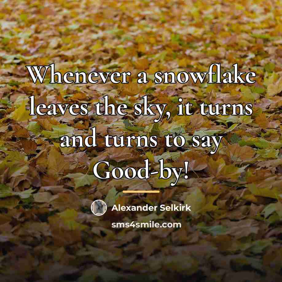 “Whenever a snowflake leaves the sky, it turns and turns…” quote by Alexander Selkirk