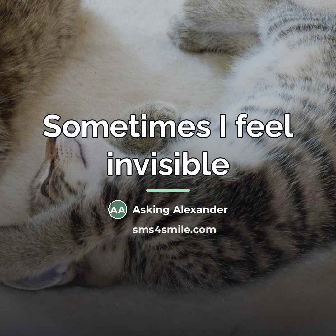 “Sometimes I feel invisible…” quote by Asking Alexander