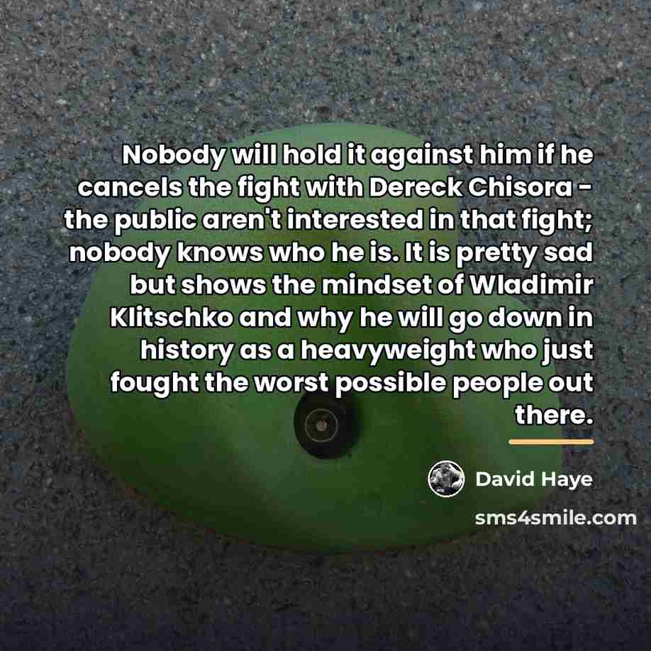 “Nobody will hold it against him if he cancels the…” quote by David Haye