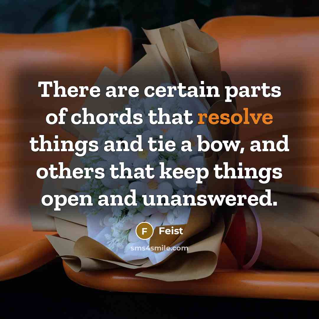 “There are certain parts of chords that resolve things and…” quote by Feist