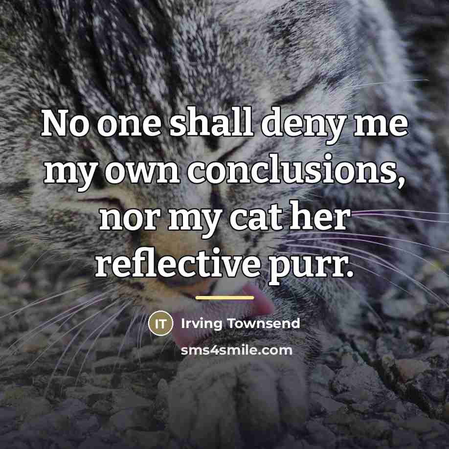 “No one shall deny me my own conclusions, nor my…” quote by Irving Townsend