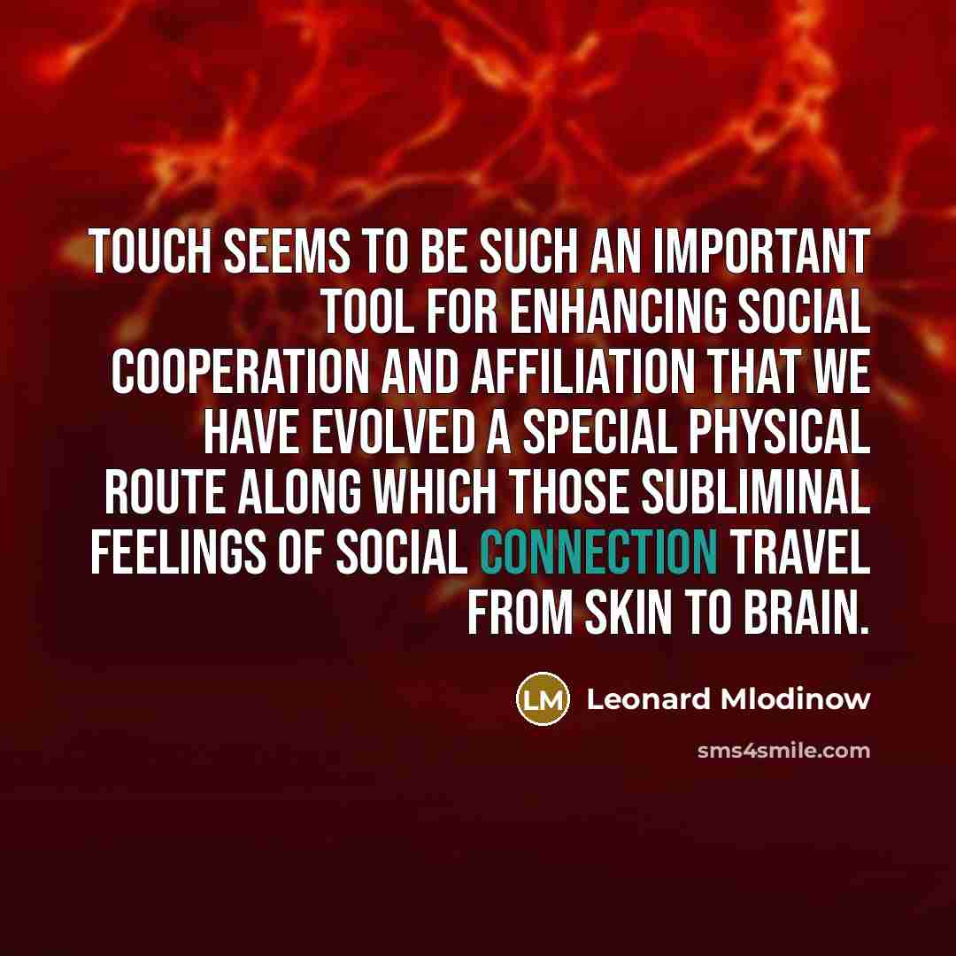 “Touch seems to be such an important tool for enhancing…” quote by Leonard Mlodinow