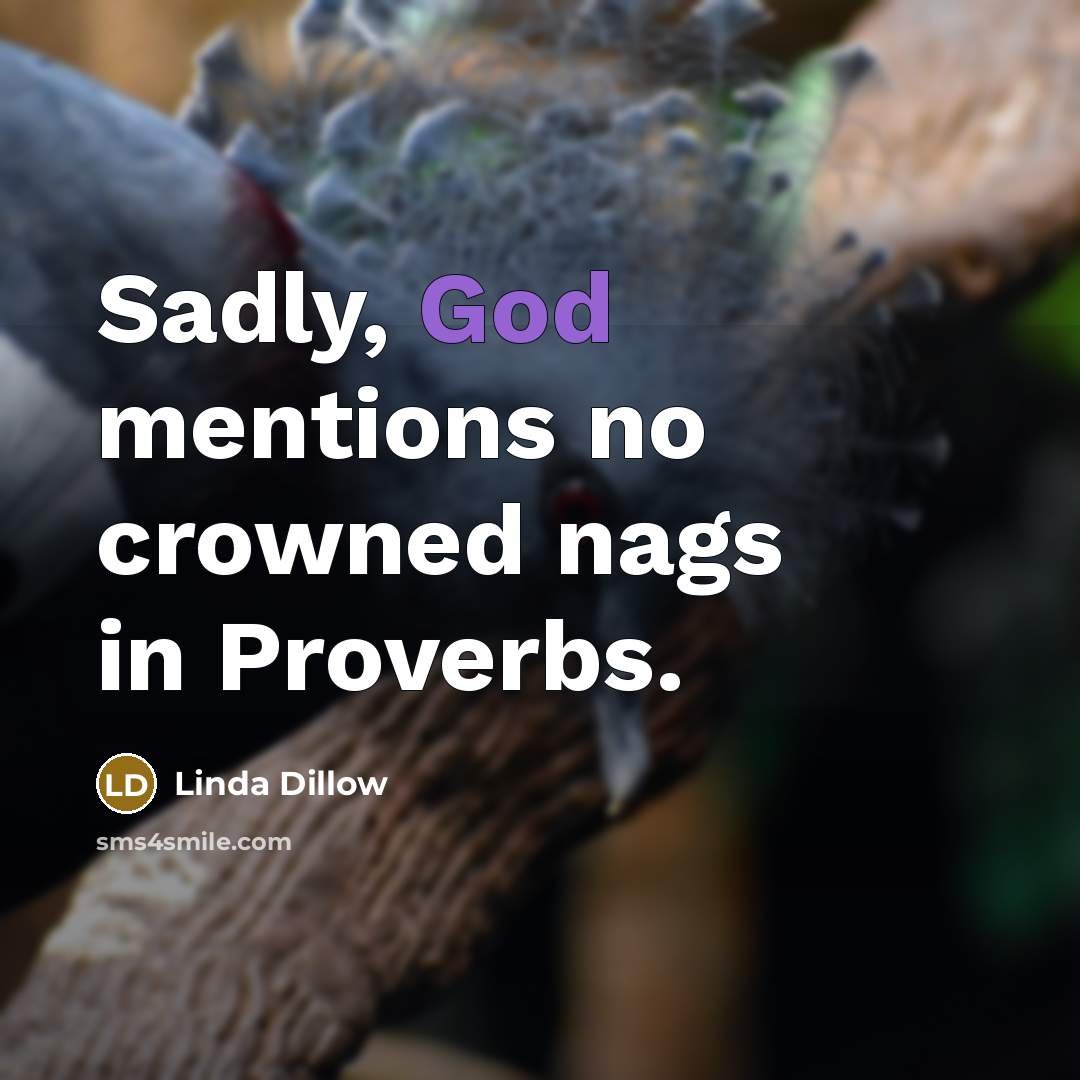 “Sadly, God mentions no crowned nags in Proverbs.” quote by Linda Dillow