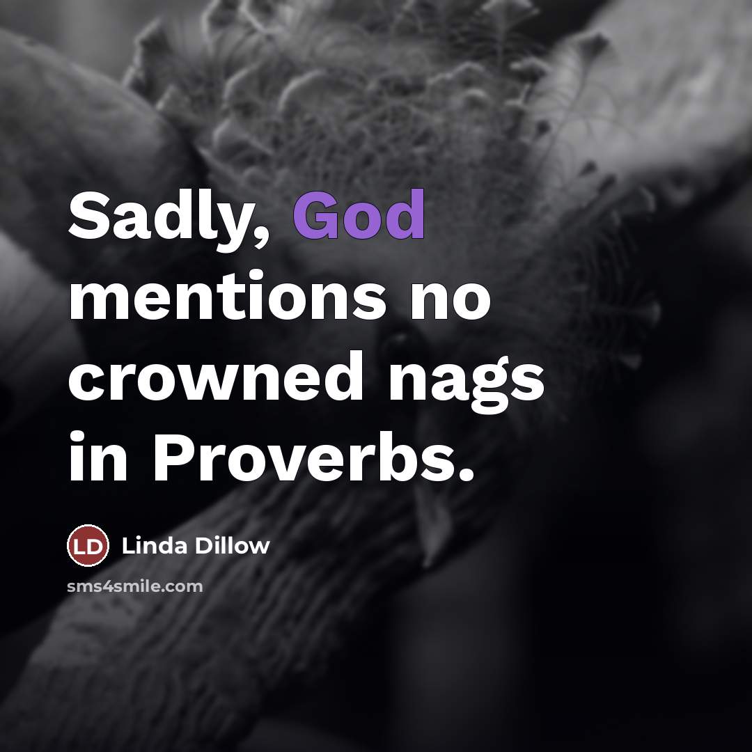 “Sadly, God mentions no crowned nags in Proverbs.…” quote by Linda Dillow