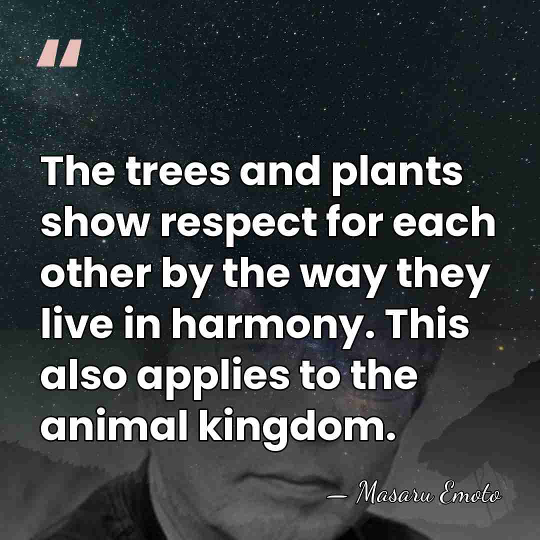 The trees and plants show respect for each other by the way&hellip; - Masaru Emoto