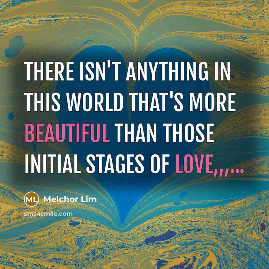 “There isn't anything in this world that's more beautiful than those initial stages of love,,,...” quote by Melchor Lim