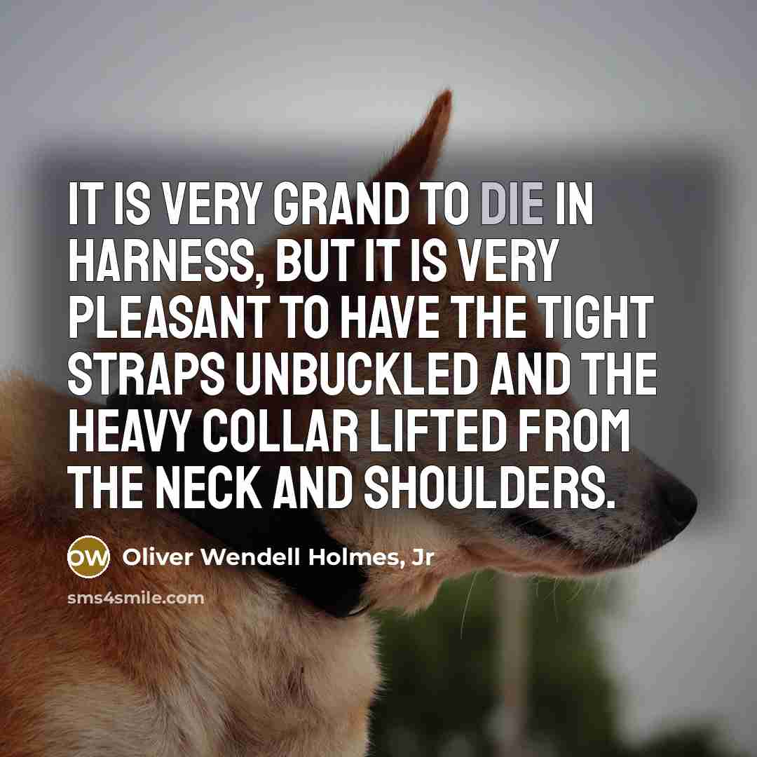 “It is very grand to die in harness, but it…” quote by Oliver Wendell Holmes, Jr