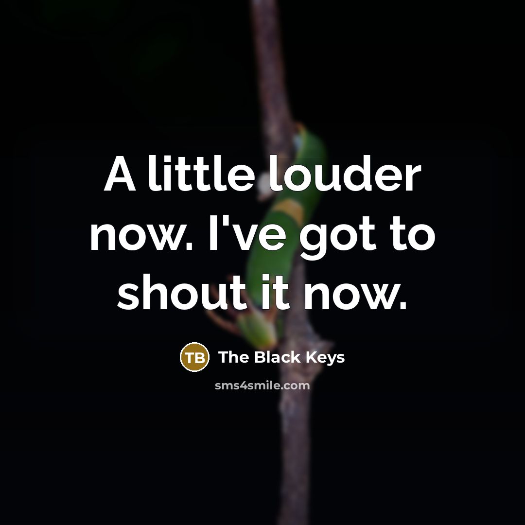 “A little louder now. I've got to shout it now.…” quote by The Black Keys
