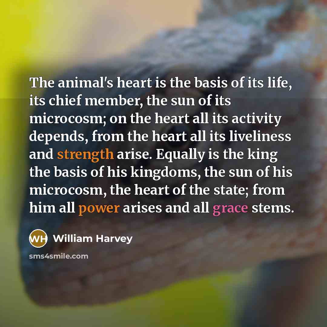 “The animal's heart is the basis of its life, its…” quote by William Harvey