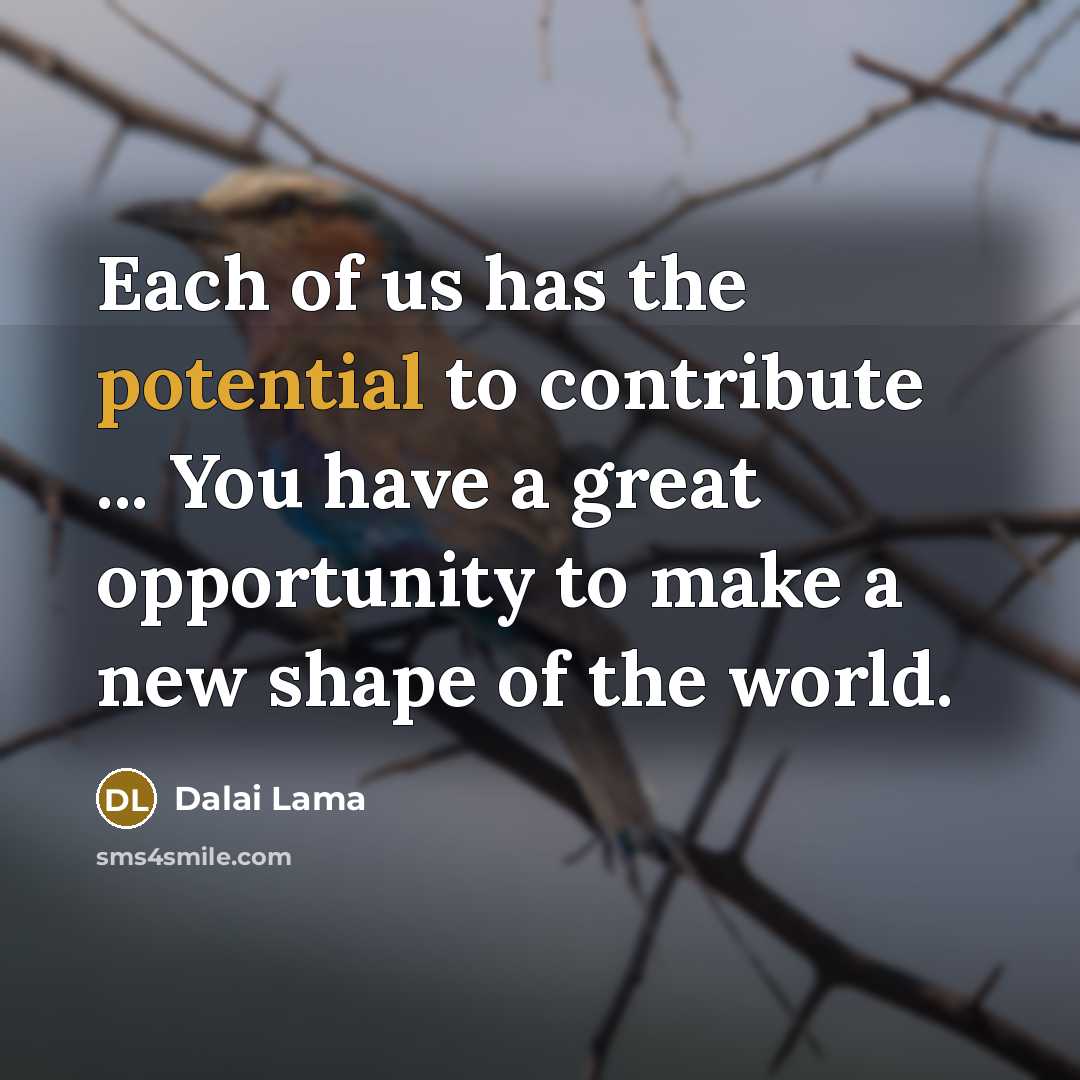 “Each of us has the potential to contribute ... You…” quote by Dalai Lama
