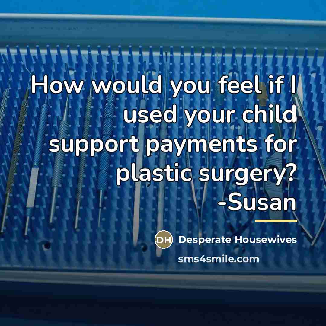 “How would you feel if I used your child support…” quote by Desperate Housewives