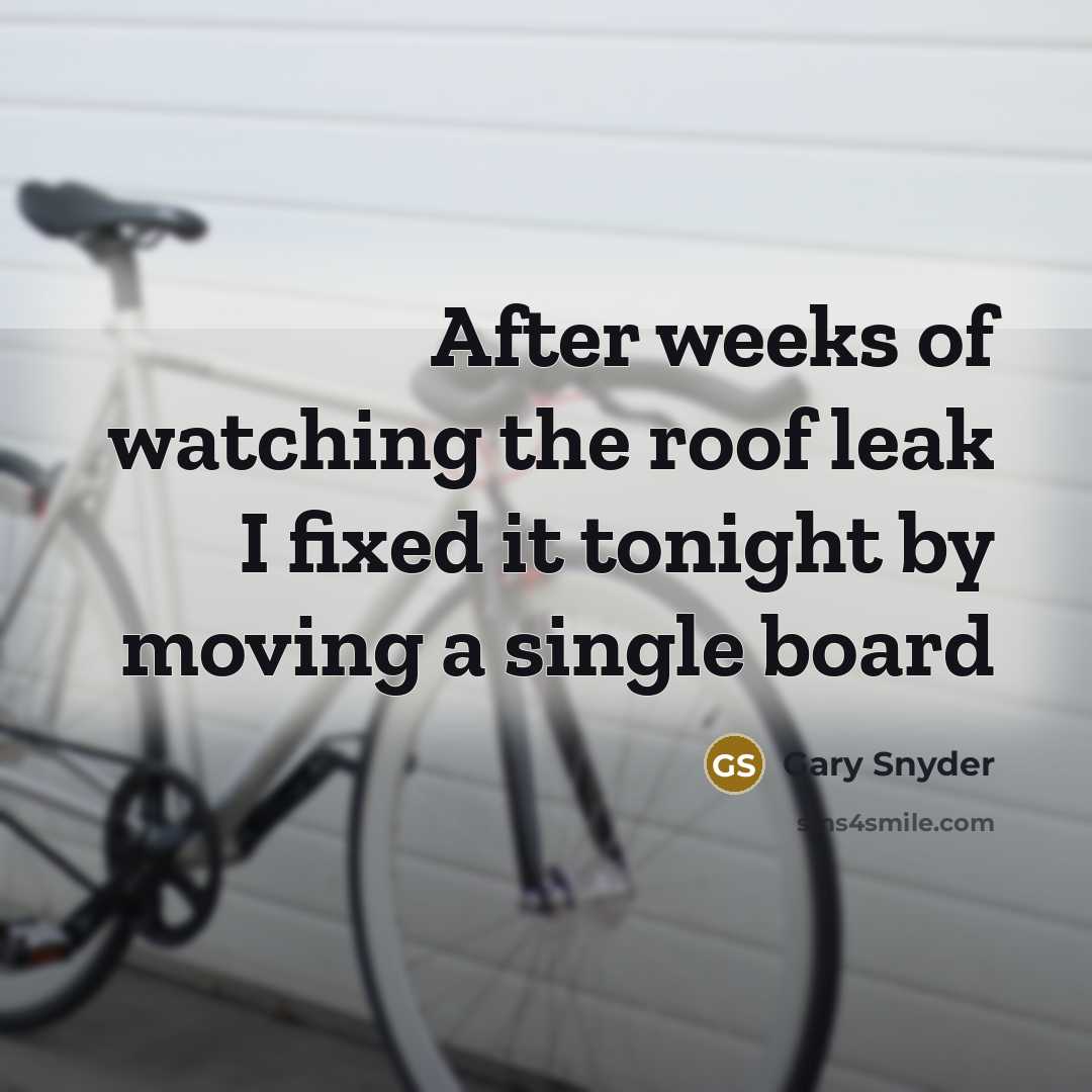 “After weeks of watching the roof leak I fixed it…” quote by Gary Snyder