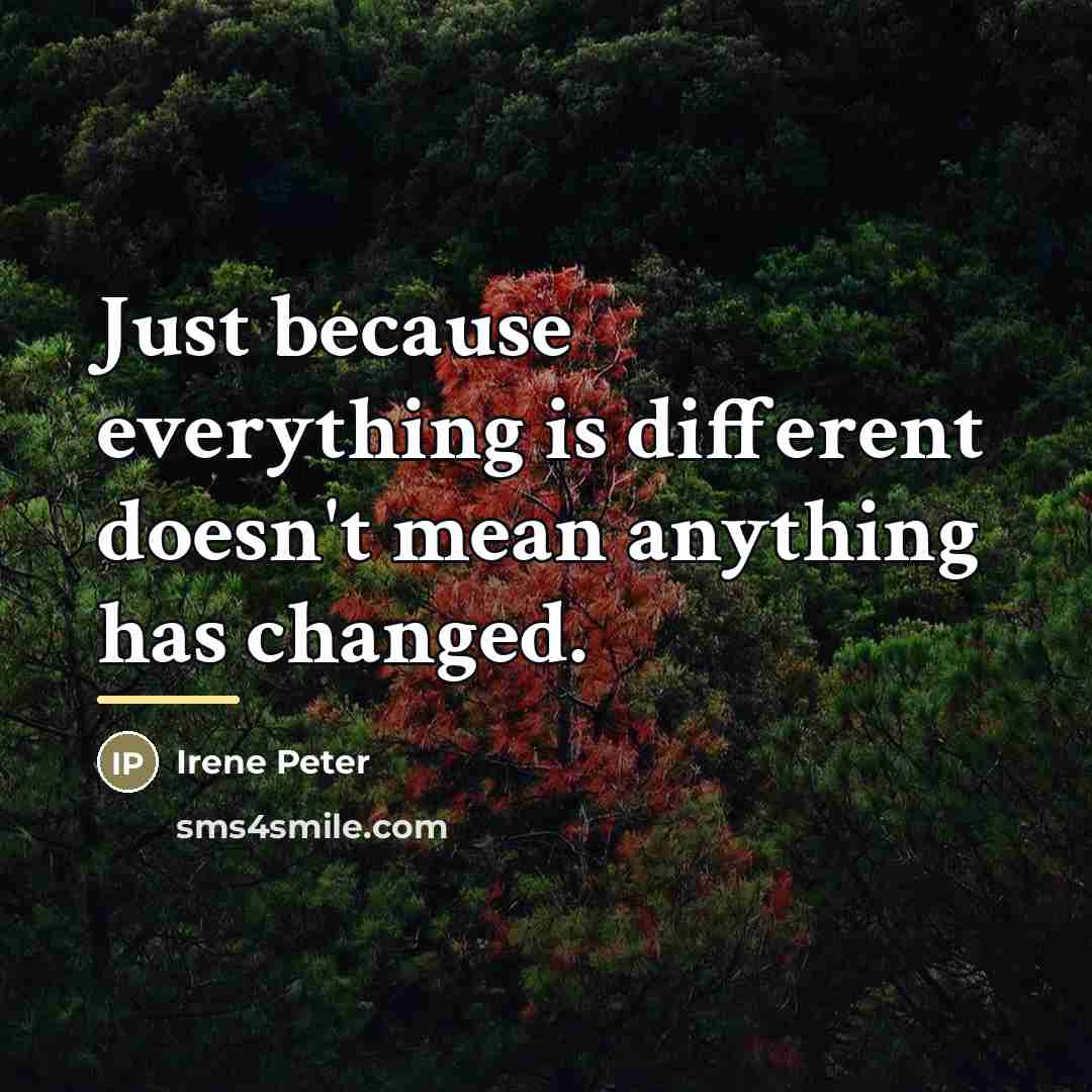 “Just because everything is different doesn't mean anything has changed.…” quote by Irene Peter