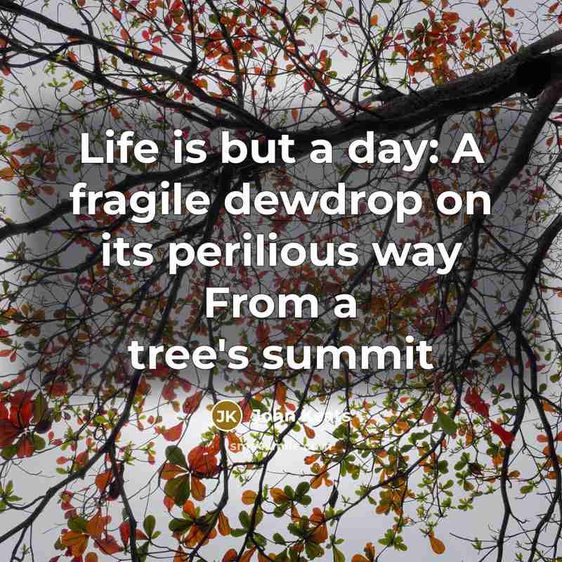“Life is but a day: A fragile dewdrop on its…” quote by John Keats