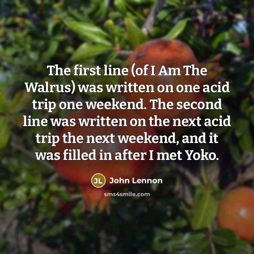 “The first line (of I Am The Walrus) was written…” quote by John Lennon
