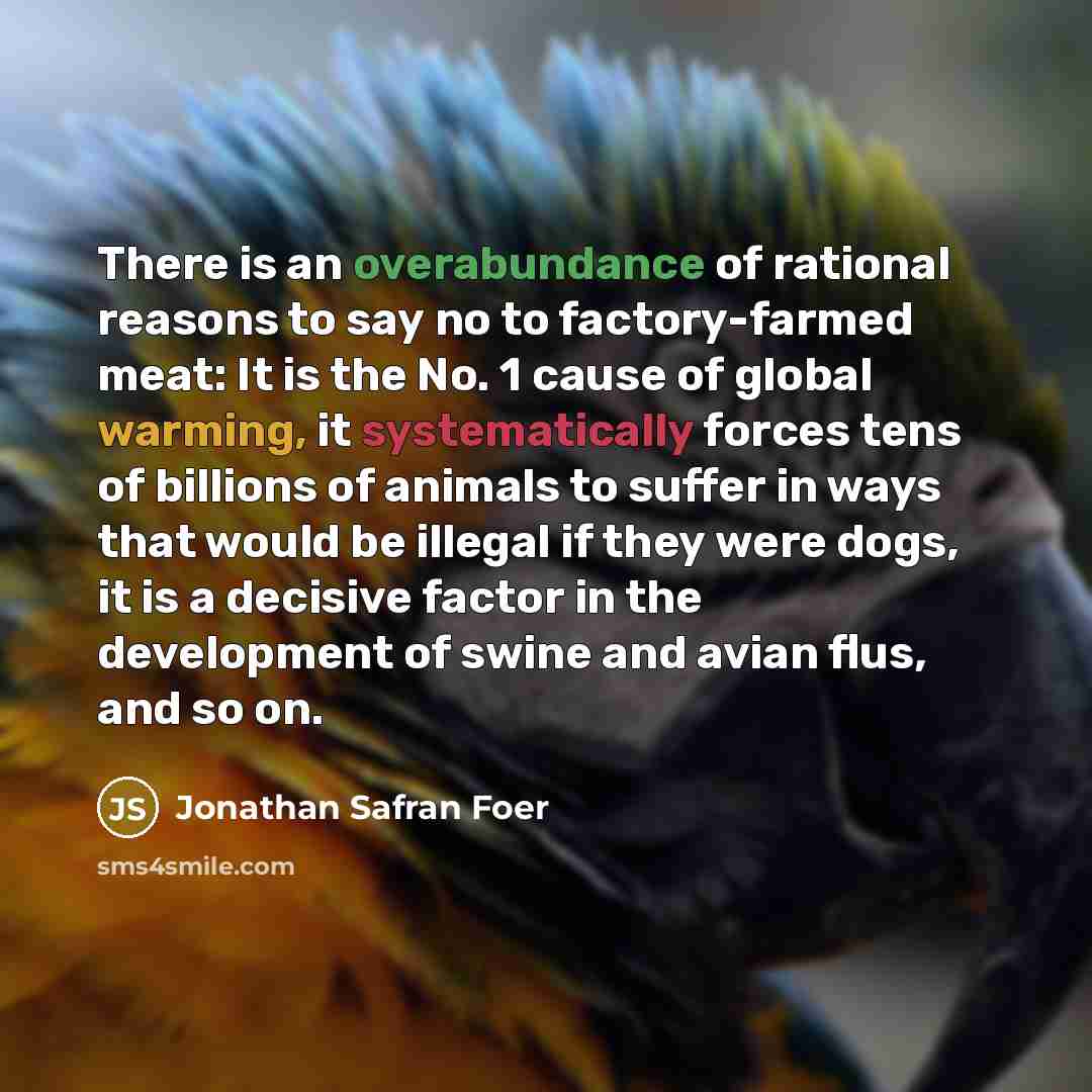 “There is an overabundance of rational reasons to say no…” quote by Jonathan Safran Foer