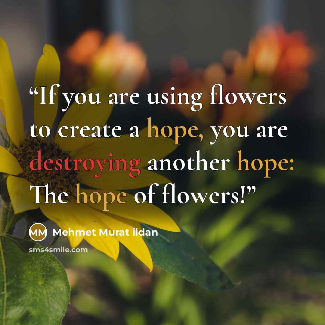 “If you are using flowers to create a hope, you are destroying another hope: The hope of flowers!” quote by Mehmet Murat ildan