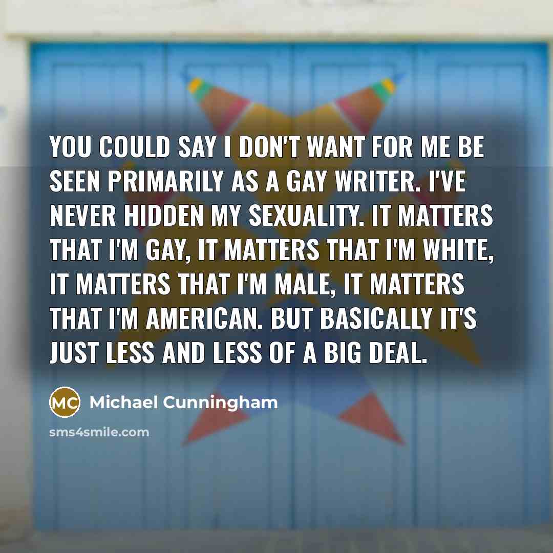 “You could say I don't want for me be seen…” quote by Michael Cunningham