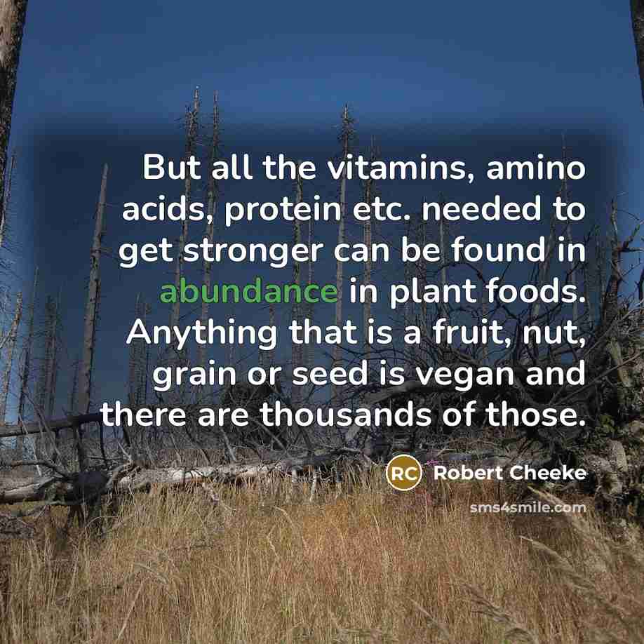 “But all the vitamins, amino acids, protein etc. needed to…” quote by Robert Cheeke