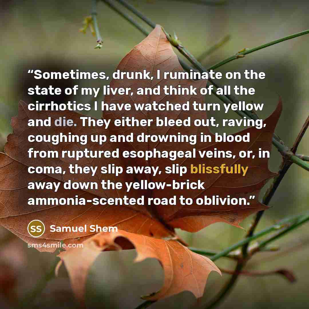 “Sometimes, drunk, I ruminate on the state of my liver, and think of all the cirrhotics I have watched turn yellow and die. They either bleed out, raving, coughing up and drowning in blood from ruptured esophageal veins, or, in coma, they slip away, slip blissfully away down the yellow-brick…” quote by Samuel Shem