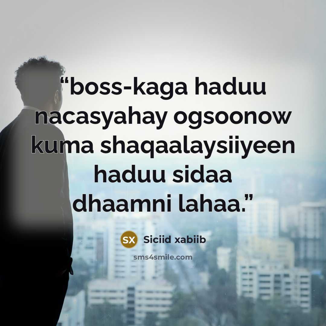 “boss-kaga haduu nacasyahay ogsoonow kuma shaqaalaysiiyeen haduu sidaa dhaamni lahaa.” quote by Siciid xabiib