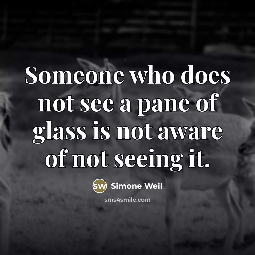 “Someone who does not see a pane of glass is…” quote by Simone Weil