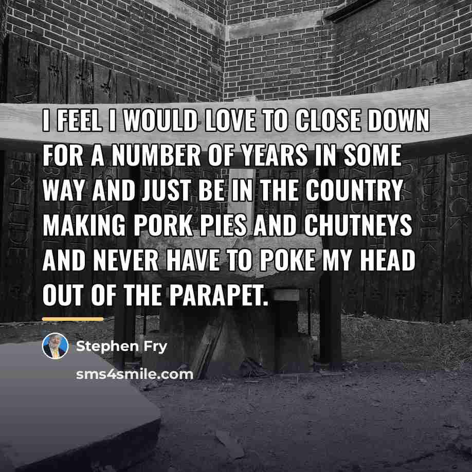 “I feel I would love to close down for a…” quote by Stephen Fry