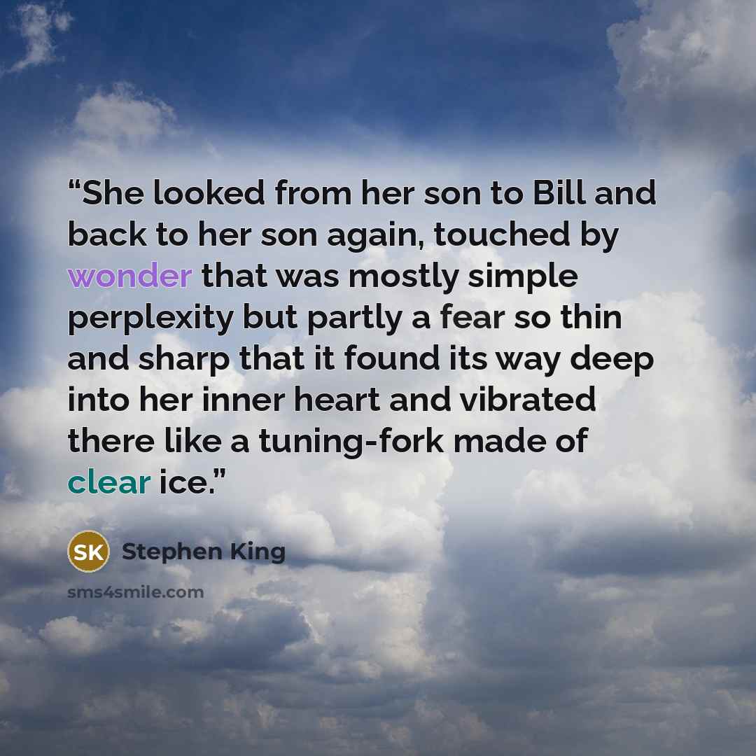 “She looked from her son to Bill and back to her son again, touched by wonder that was mostly simple perplexity but partly a fear so thin and sharp that it found its way deep into her inner heart and vibrated there like a tuning-fork made of clear ice.” quote by Stephen King