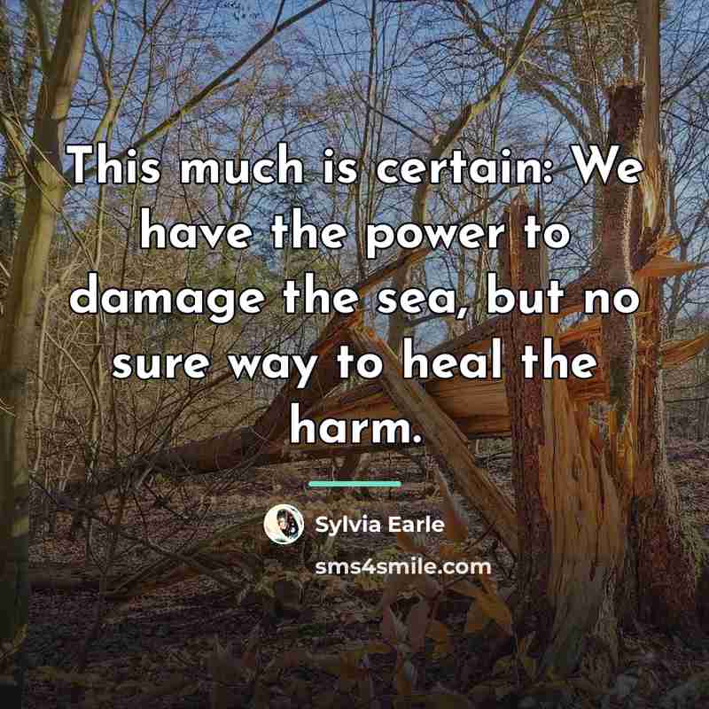 “This much is certain: We have the power to damage…” quote by Sylvia Earle