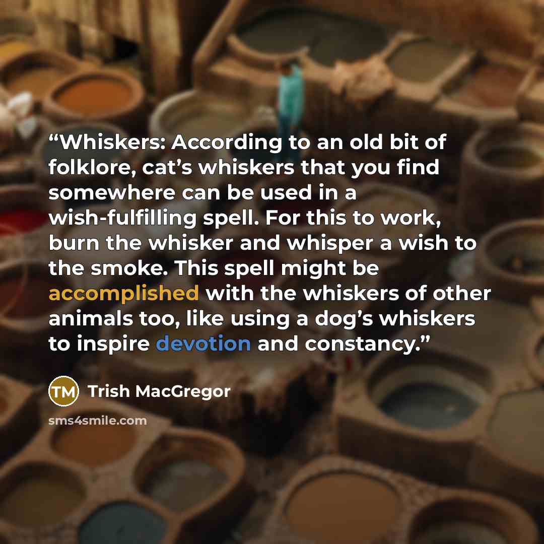 “Whiskers: According to an old bit of folklore, cat’s whiskers that you find somewhere can be used in a wish-fulfilling spell. For this to work, burn the whisker and whisper a wish to the smoke. This spell might be accomplished with the whiskers of other animals too, like using a dog’s whiskers to…” quote by Trish MacGregor