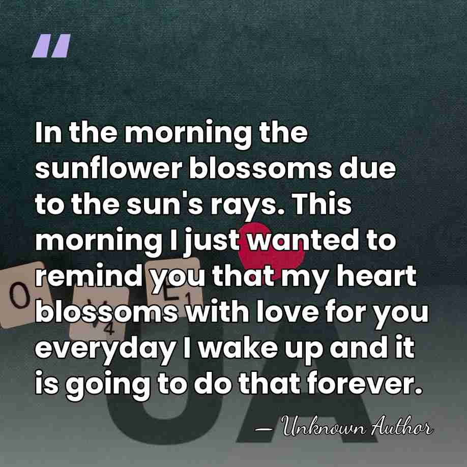 In the morning the sunflower blossoms due to the sun's rays. This&hellip; - Sheila Carey