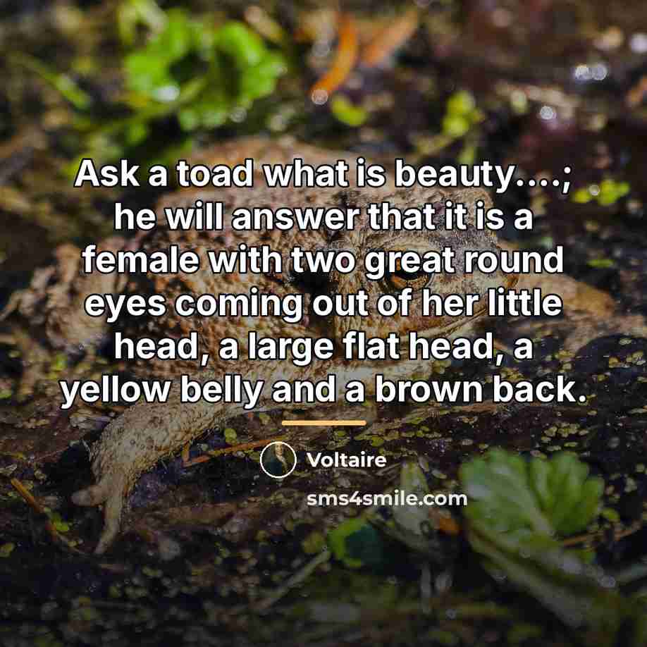 “Ask a toad what is beauty....; he will answer that…” quote by Voltaire