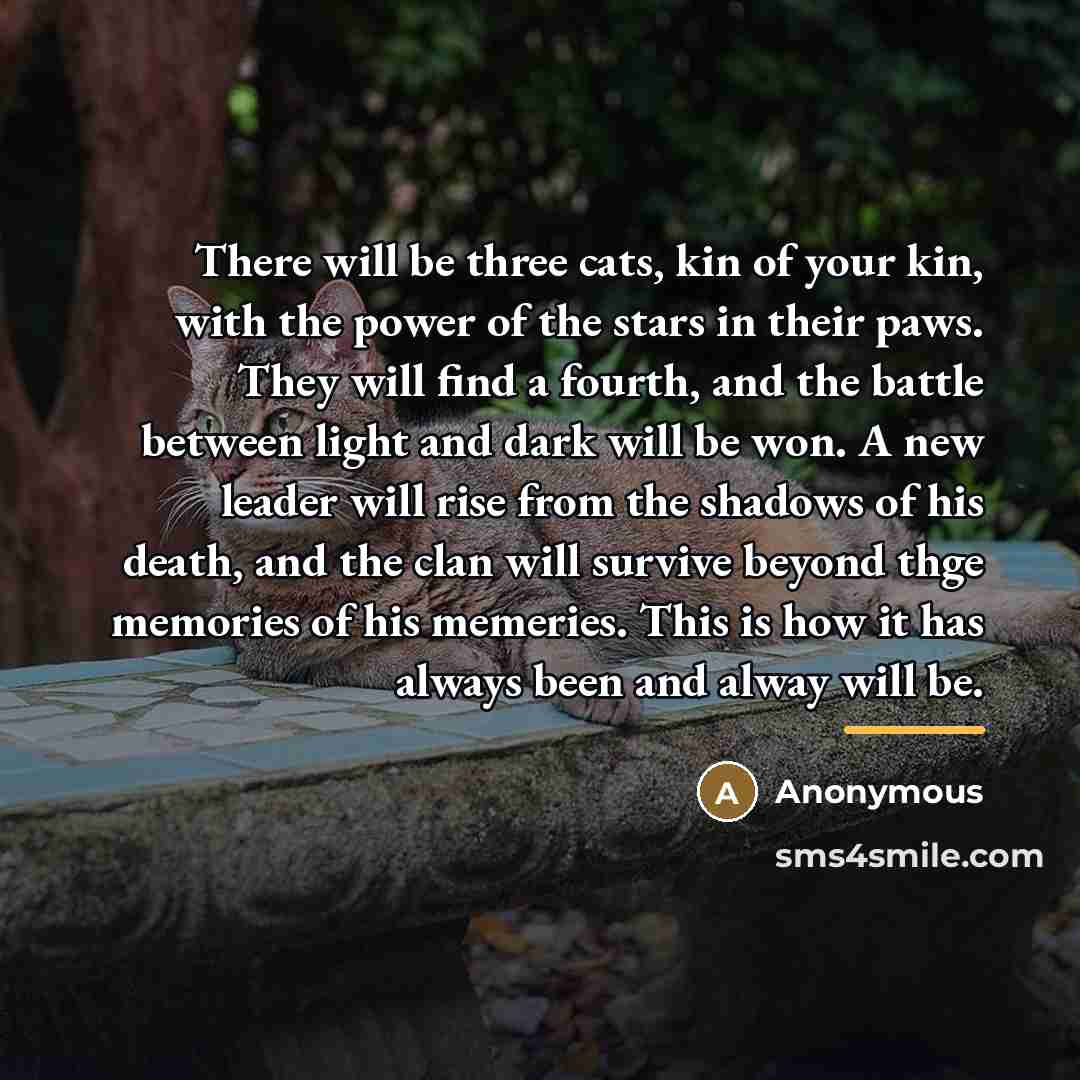 “There will be three cats, kin of your kin, with…” quote by Anonymous