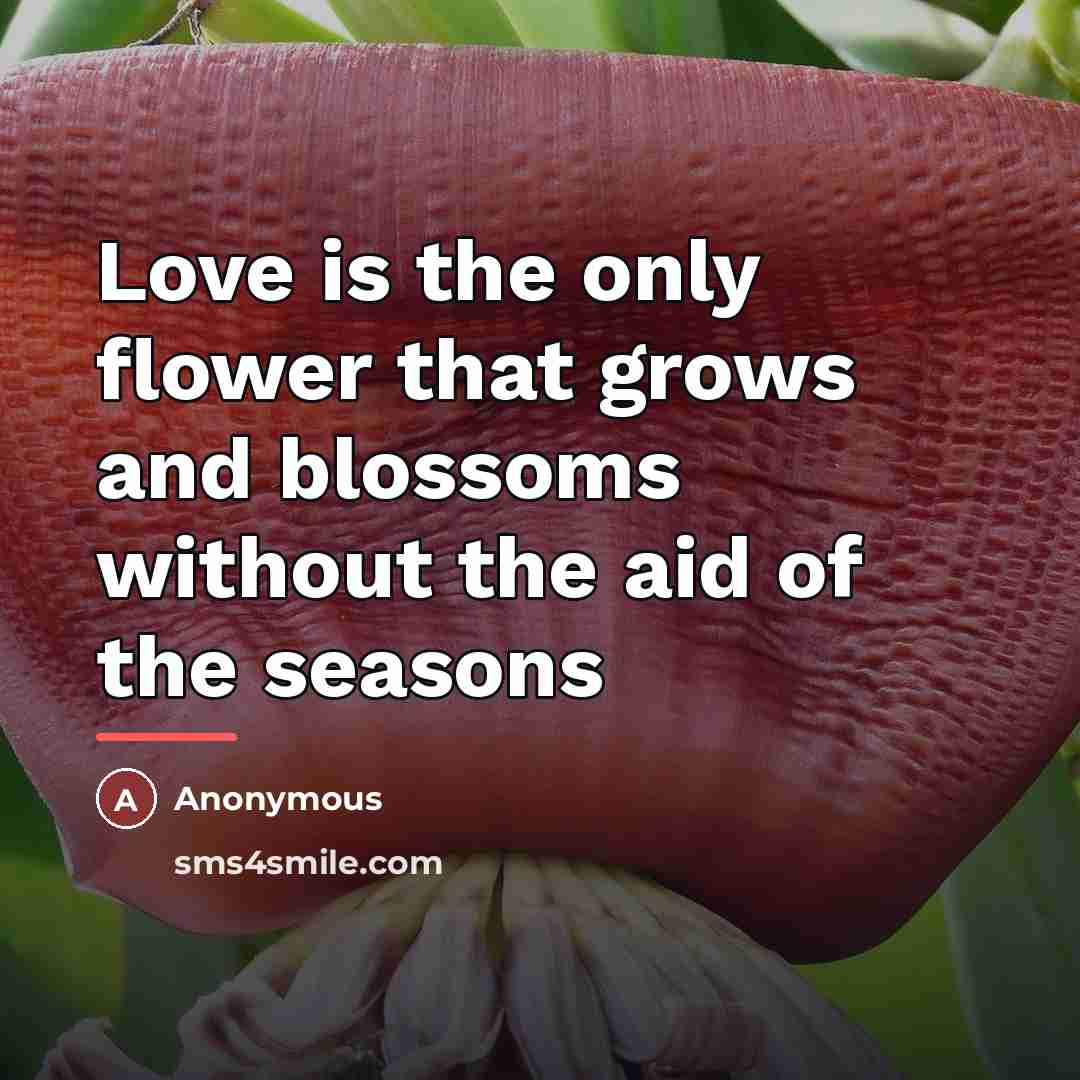 “Love is the only flower that grows and blossoms without…” quote by Anonymous