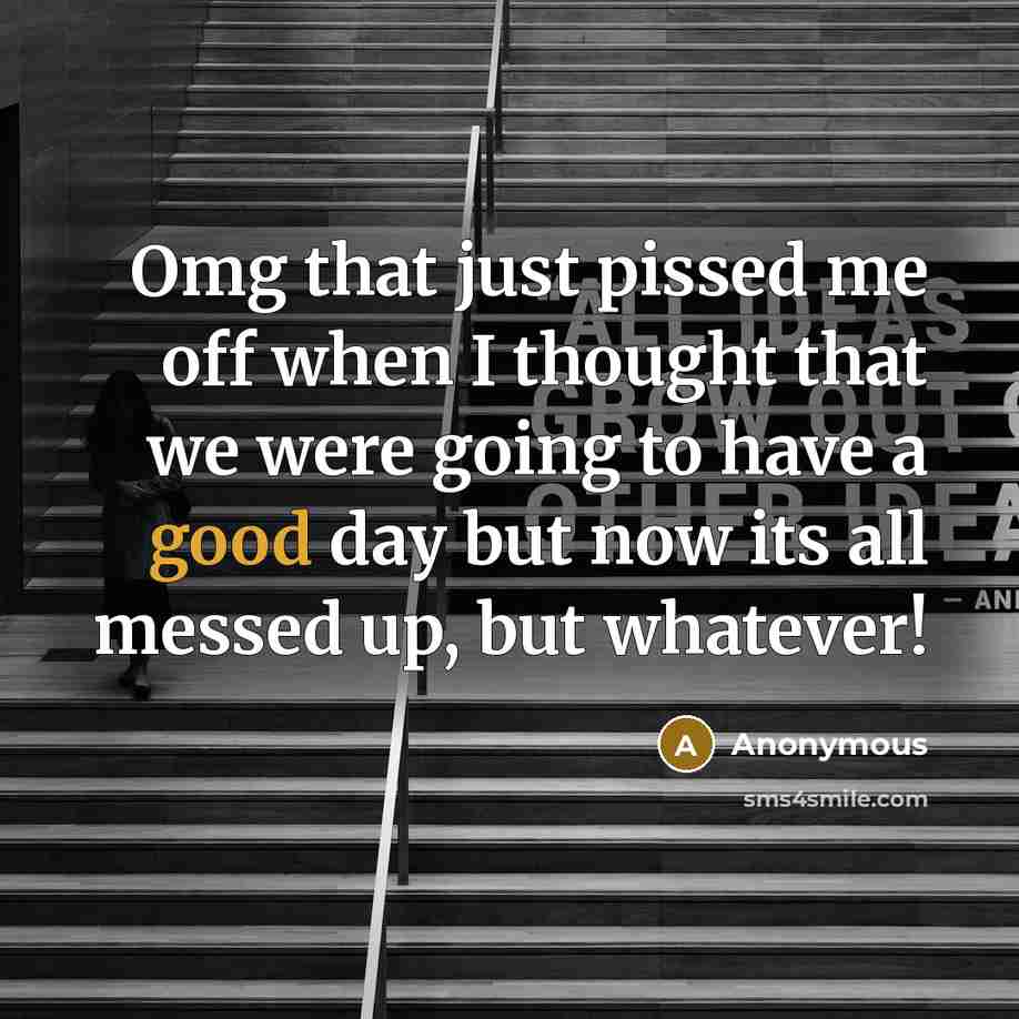 “Omg that just pissed me off when I thought that we were going to have a good day but now its all messed up, but whatever!” quote by Anonymous