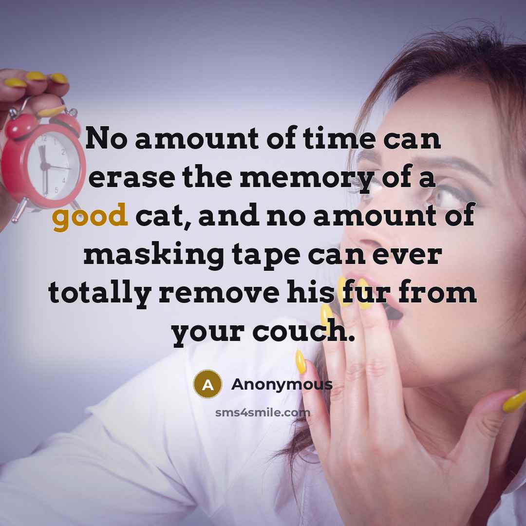 “No amount of time can erase the memory of a…” quote by Anonymous