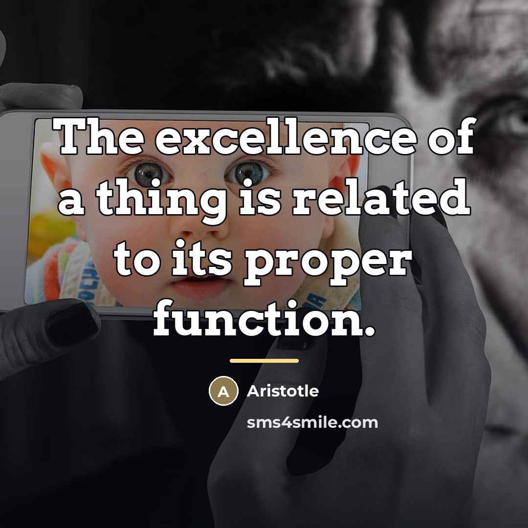 “The excellence of a thing is related to its proper…” quote by Aristotle