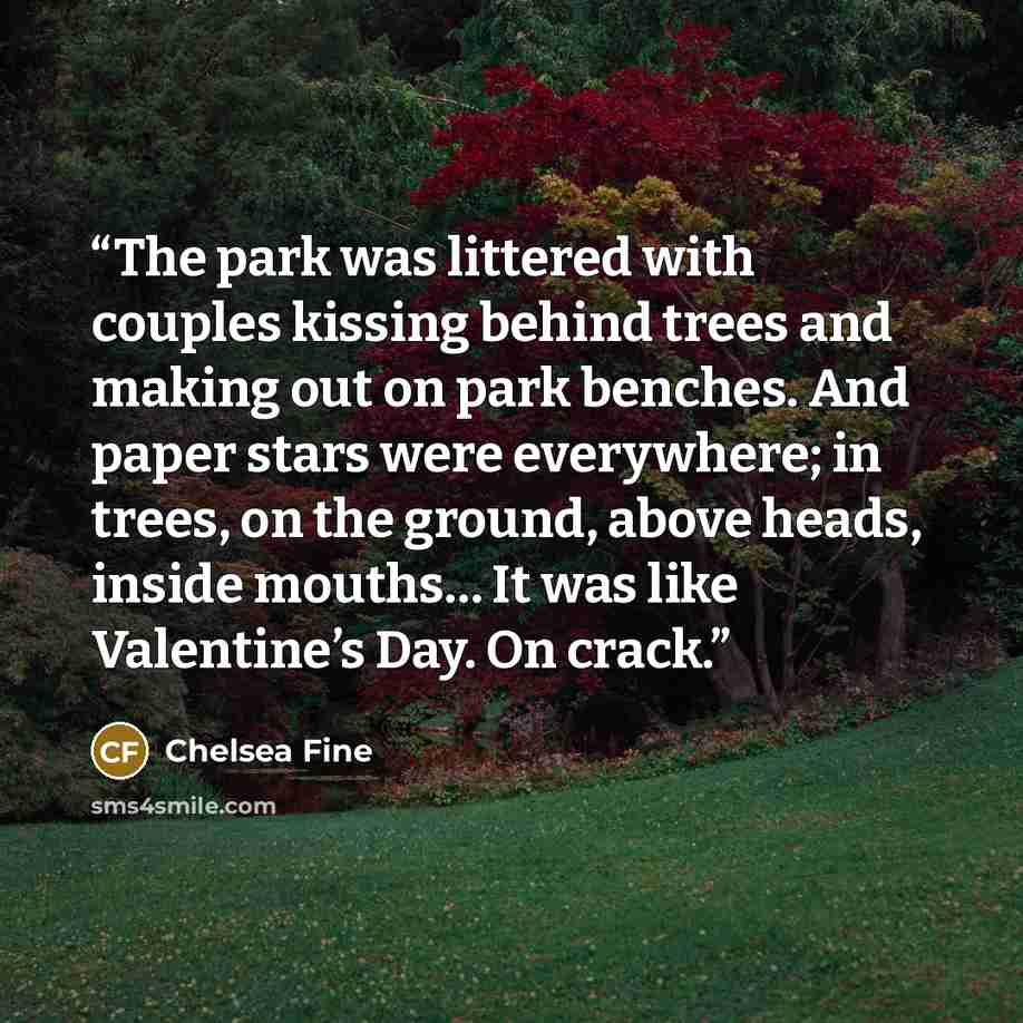 “The park was littered with couples kissing behind trees and making out on park benches. And paper stars were everywhere; in trees, on the ground, above heads, inside mouths… It was like Valentine’s Day. On crack.” quote by Chelsea Fine