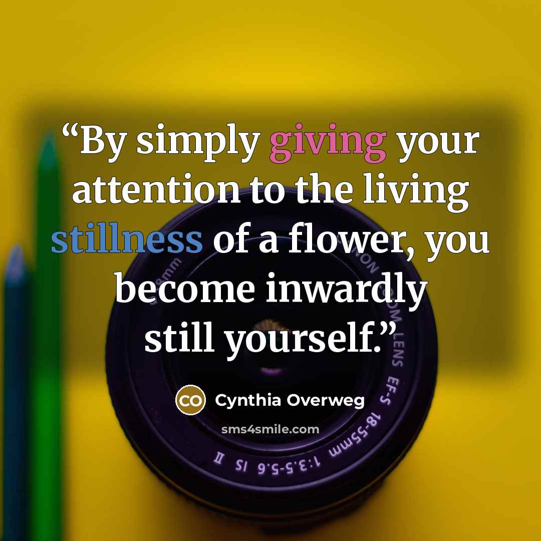 “By simply giving your attention to the living stillness of a flower, you become inwardly still yourself.” quote by Cynthia Overweg