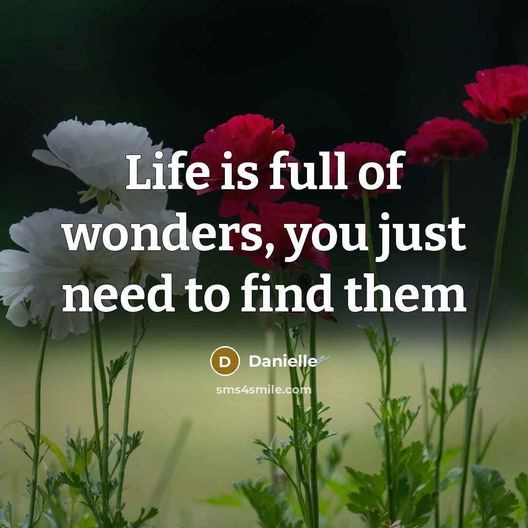 “Life is full of wonders, you just need to find…” quote by Danielle