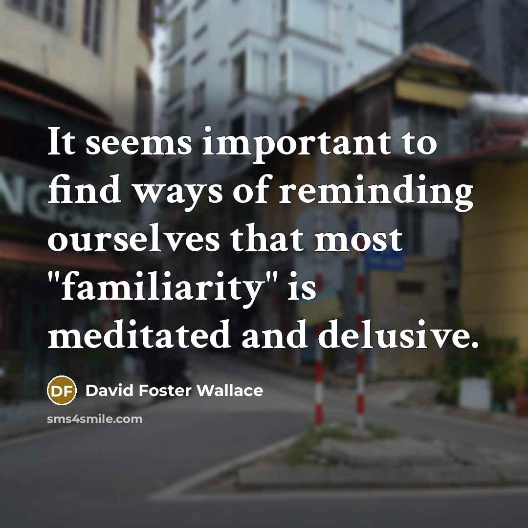 “It seems important to find ways of reminding ourselves that…” quote by David Foster Wallace