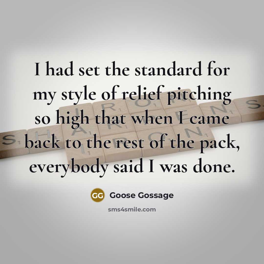 “I had set the standard for my style of relief…” quote by Goose Gossage