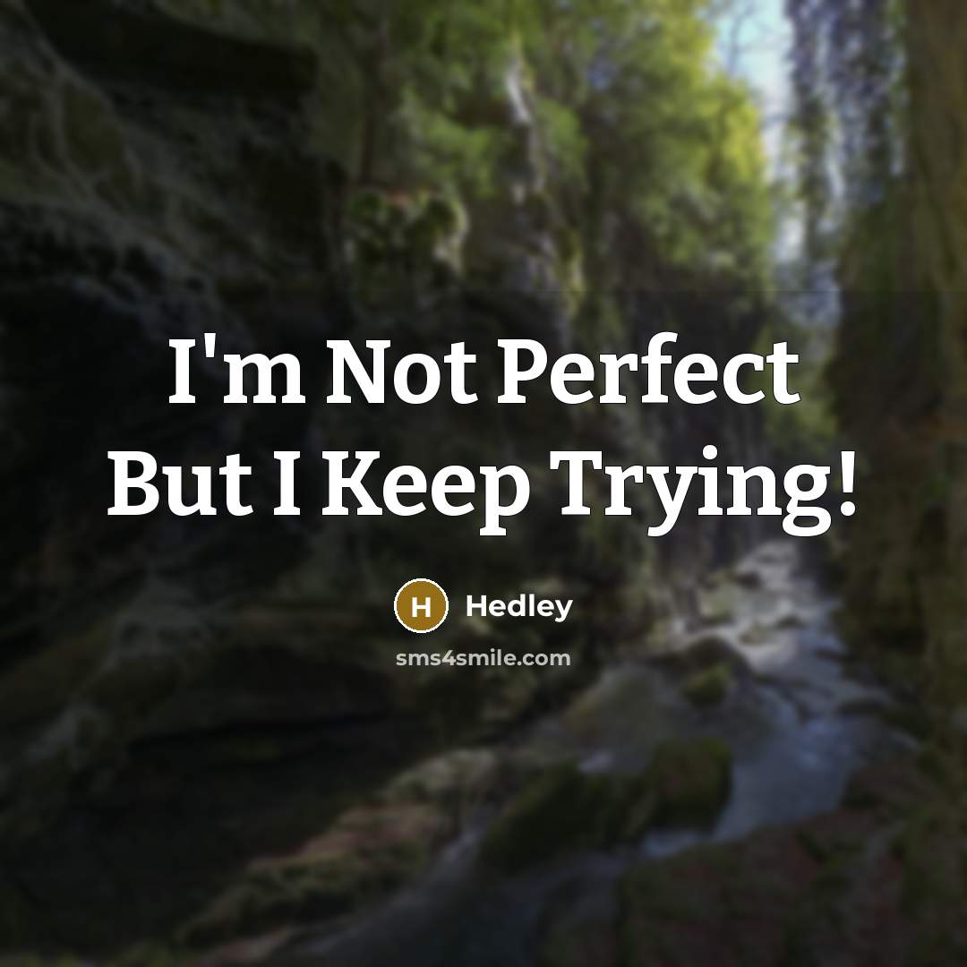 “I'm Not Perfect But I Keep Trying!…” quote by Hedley