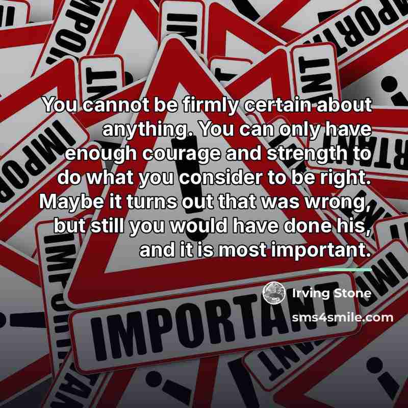 “You cannot be firmly certain about anything. You can only…” quote by Irving Stone