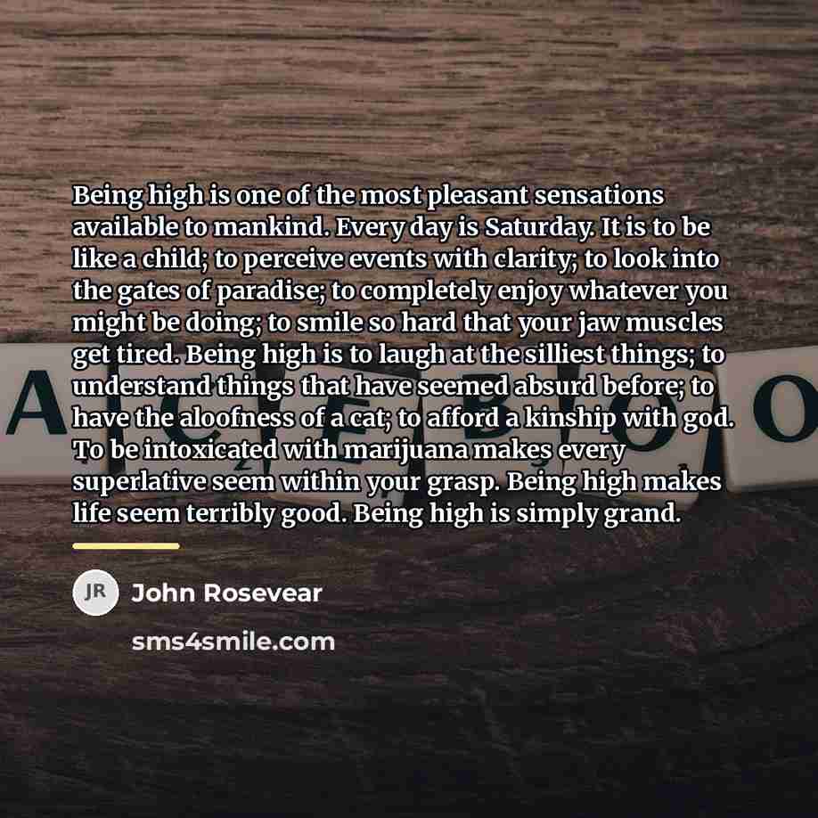 “Being high is one of the most pleasant sensations available…” quote by John Rosevear