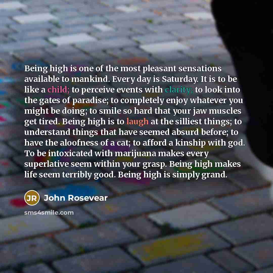 “Being high is one of the most pleasant sensations available to mankind. Every day is Saturday. It is to be like a child; to perceive events with clarity; to look into the gates of paradise; to completely enjoy whatever you might be doing; to smile so hard that your jaw muscles get tired. Being…” quote by John Rosevear