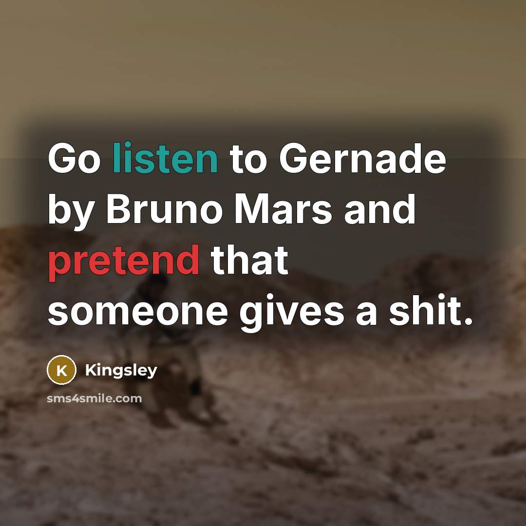 “Go listen to Gernade by Bruno Mars and pretend that someone gives a shit.” quote by Kingsley